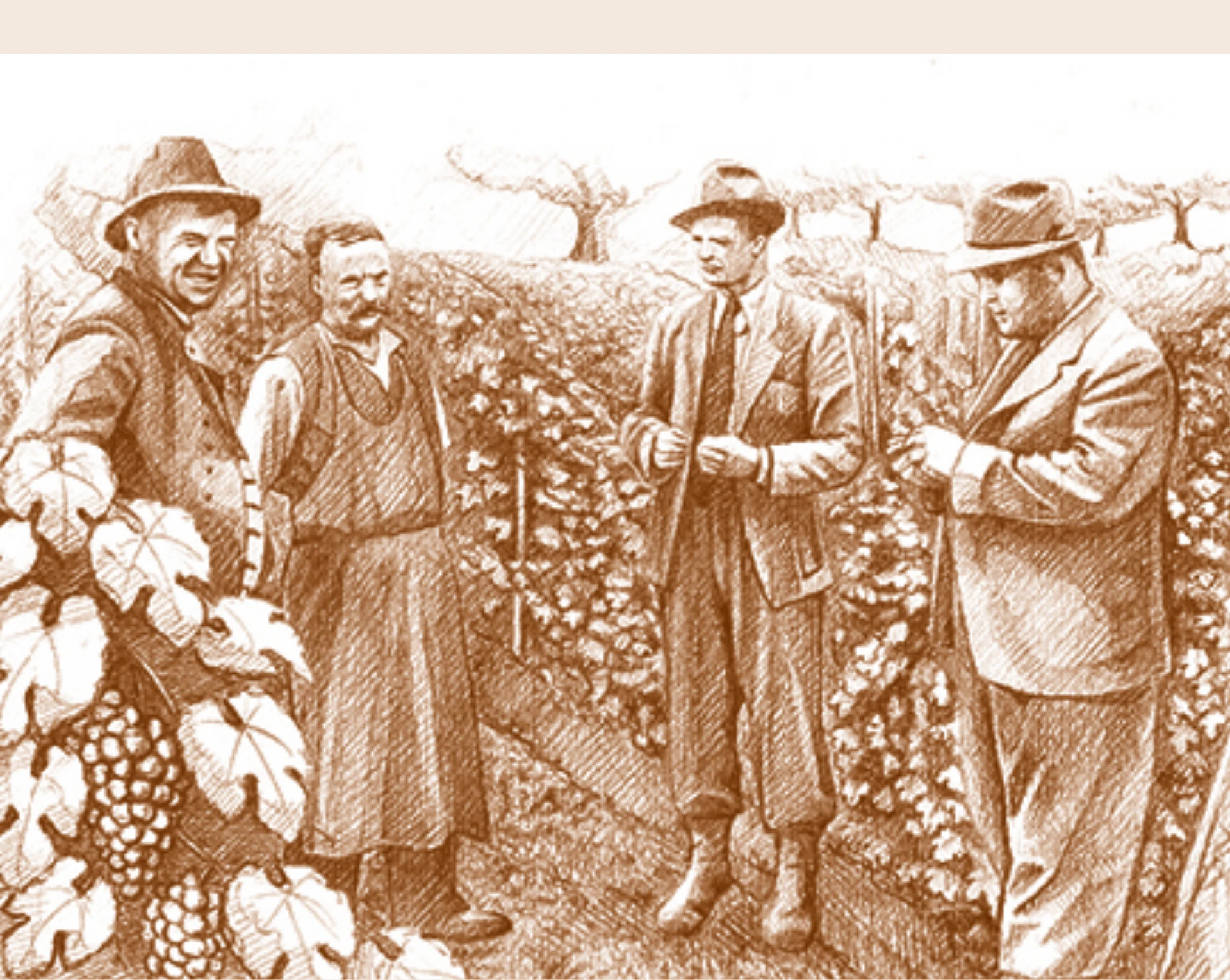 Domaine Hugo