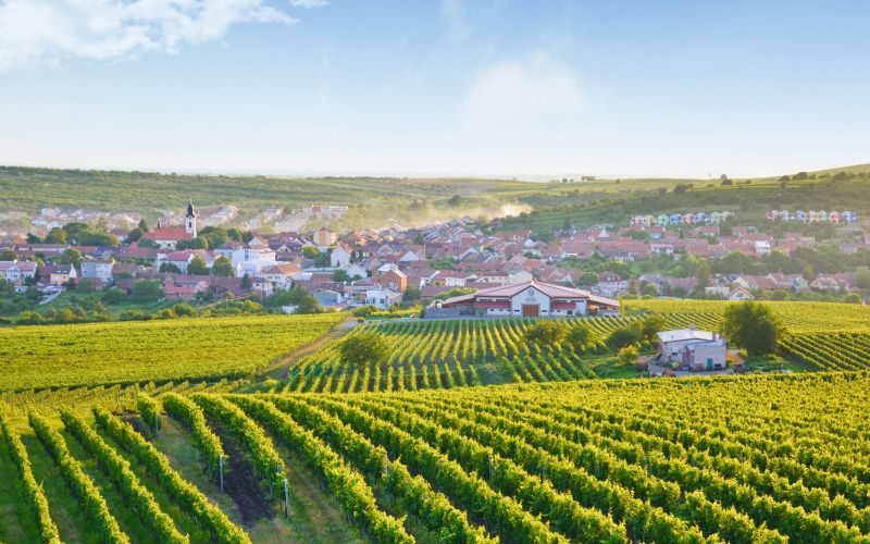 Obec Velké Pavlovice